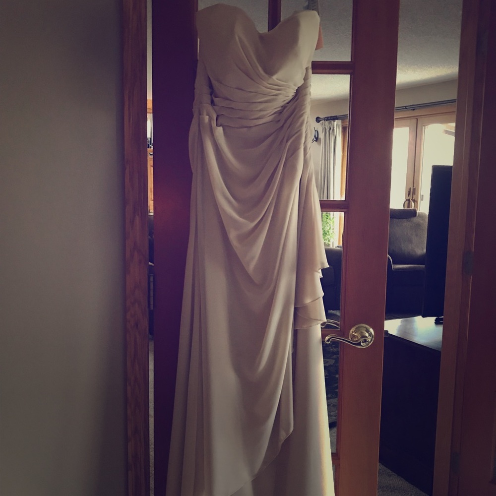 Formal gown- Champaign beige